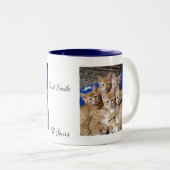 Katzen-Foto-Muster, Tasse (VorderseiteRechts)