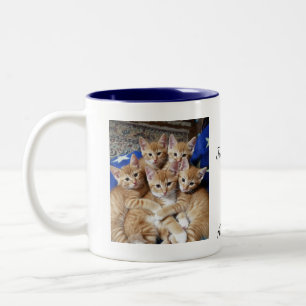 Katzen-Foto-Muster, Tasse