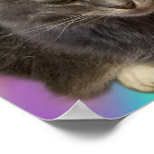 Katzen Foto Poster (Ecke)