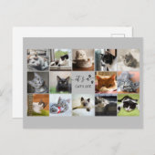 Katzen-FotoCollage mit Paw Prints Postkarte (Vorne/Hinten)