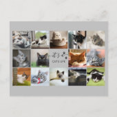 Katzen-FotoCollage mit Paw Prints Postkarte (Vorderseite)