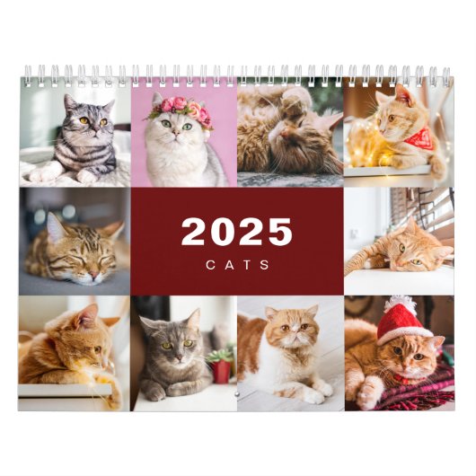Katzen FotoCollage Modern 2025 Kalender (Titelbild)