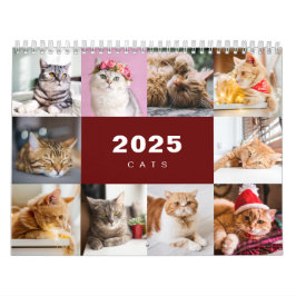 Katzen FotoCollage Modern 2025 Kalender