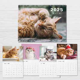 Katzen FotoCollage Modern 2025 Kalender