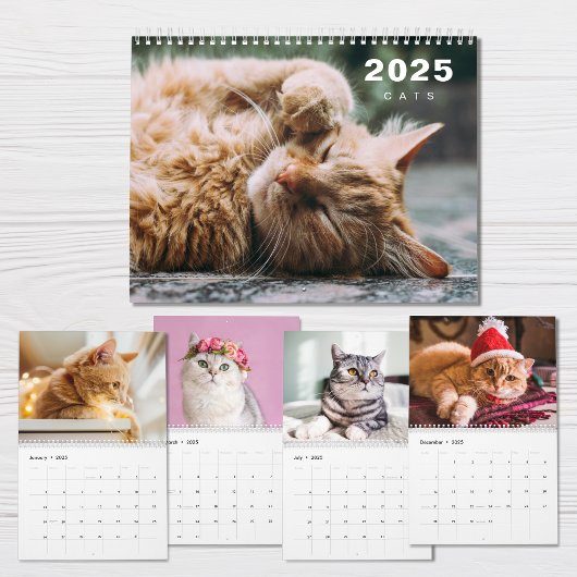 Katzen FotoCollage Modern 2025 Kalender