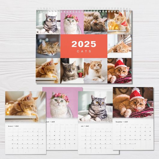 Katzen FotoCollage Modern 2025 Kalender