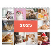 Katzen FotoCollage Modern 2025 Kalender (Titelbild)