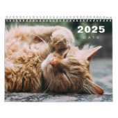 Katzen FotoCollage Modern 2025 Kalender (Titelbild)