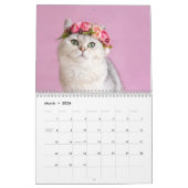 Katzen FotoCollage Modern 2025 Kalender (Mär 2026)