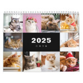 Katzen FotoCollage Modern 2025 Kalender (Titelbild)