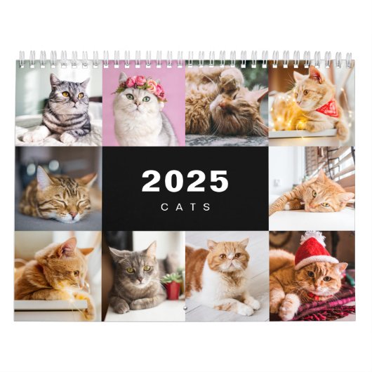 Katzen FotoCollage Modern 2025 Kalender (Titelbild)