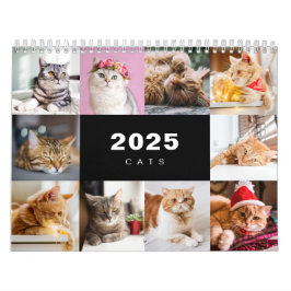 Katzen FotoCollage Modern 2025 Kalender