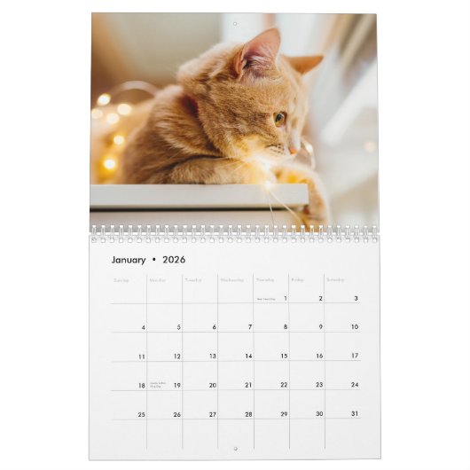 Katzen FotoCollage Modern 2025 Kalender (Jan 2026)