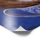 Katzen Fotodruck (Ecke)