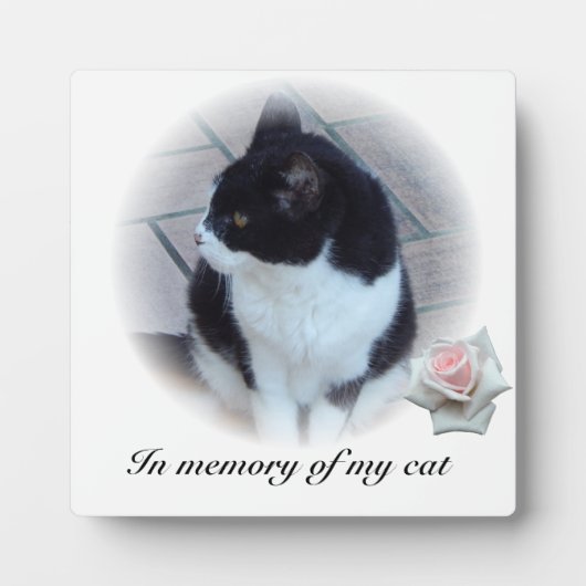 Katzen Fotoplatte (Vorderseite)