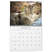 Katzen-Fotos Kalender (Feb 2027)