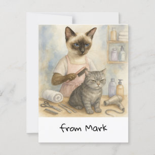 Katzen-Friseur  Postkarte
