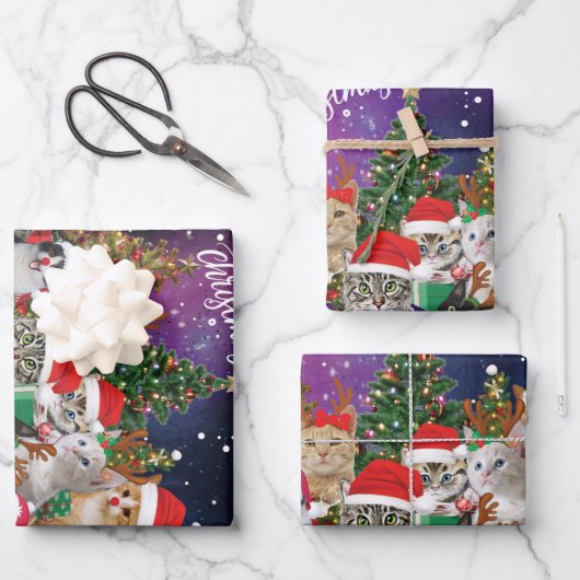 Katzen Frohe Weihnachtslicht Geschenkpapier Set (Vorderseite)