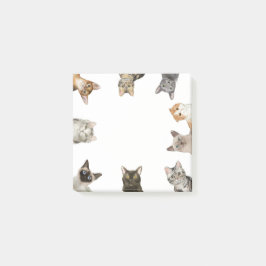 Katzen | Funny Cat Lover Post-it Klebezettel