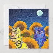 Katzen für die Ukraine (Vorderseite)