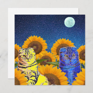 Katzen für die Ukraine