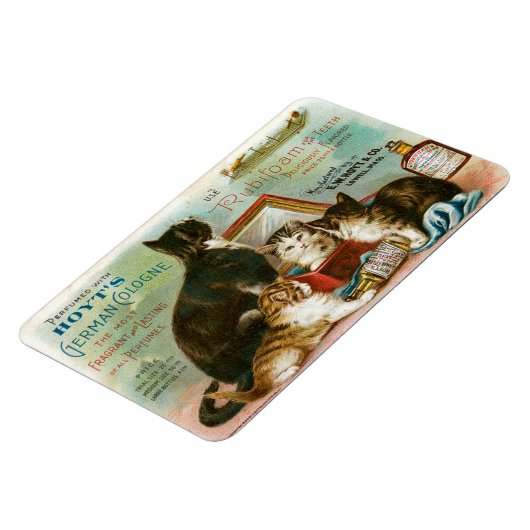 Katzen für Hoyt Magnet (Linke Seite)