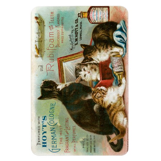 Katzen für Hoyt Magnet (Vertikal)