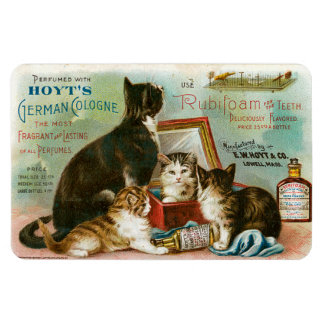 Katzen für Hoyt's Magnet