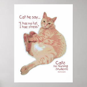 Katzen für Krankenpfleger - ich habe Stress Poster