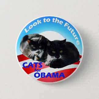 Katzen für Obama Button