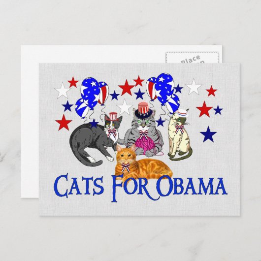 KATZEN FÜR OBAMA POSTKARTE (Vorne/Hinten)