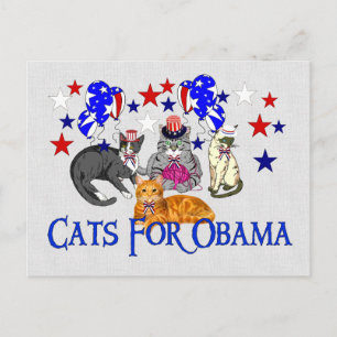 KATZEN FÜR OBAMA POSTKARTE