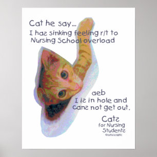 Katzen für pflegenstudenten - I hat sinkendes Poster