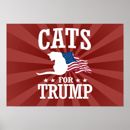 KATZEN FÜR TRUMP POSTER (Vorne)
