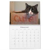 Katzen für VAS Bewusstsein! Kalender (Feb 2027)