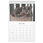 Katzen für VAS Bewusstsein! (Vertikale) Kalender (Mär 2027)