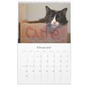 Katzen für VAS Bewusstsein! (Vertikale) Kalender (Feb 2027)