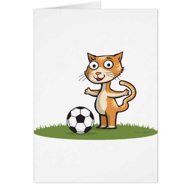 Katzen-Fußball (Vorne)
