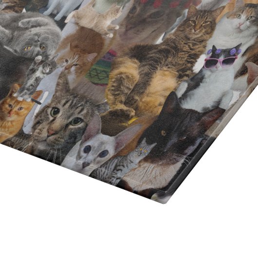 Katzen Galore, großes Glas Schneidebrett (Ecke)