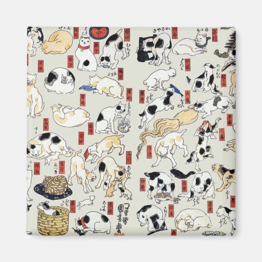 Katzen Galore Magnet (Vorne)