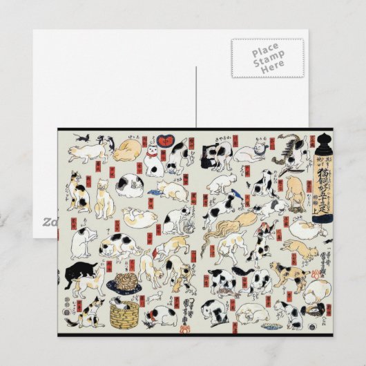Katzen Galore Postkarte (Vorne/Hinten)
