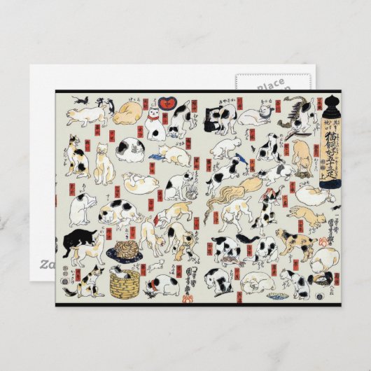 Katzen Galore Postkarte (Vorne/Hinten)
