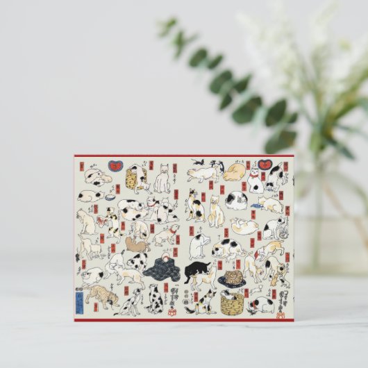 Katzen Galore Postkarte (Stehend Vorderseite)