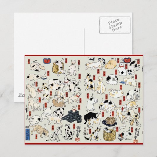 Katzen Galore Postkarte (Vorne/Hinten)