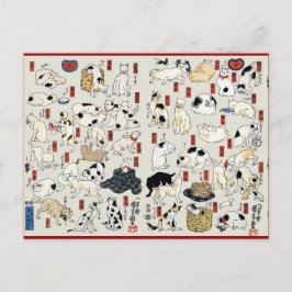 Katzen Galore Postkarte