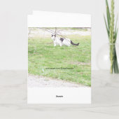 Katzen, Geburtstag Karte (Rückseite)