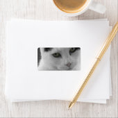 Katzen Gedanken Adressaufkleber (Insitu)
