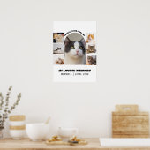 Katzen-Gedenkstätte 7 Foto-Collage Haustier-Tribut Poster (Küche)