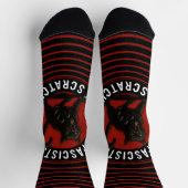Katzen gegen Faschisten Socken (Oben)