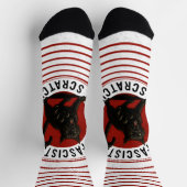Katzen gegen Faschisten Socken (Oben)